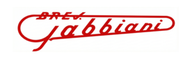 Logo Gabbiani